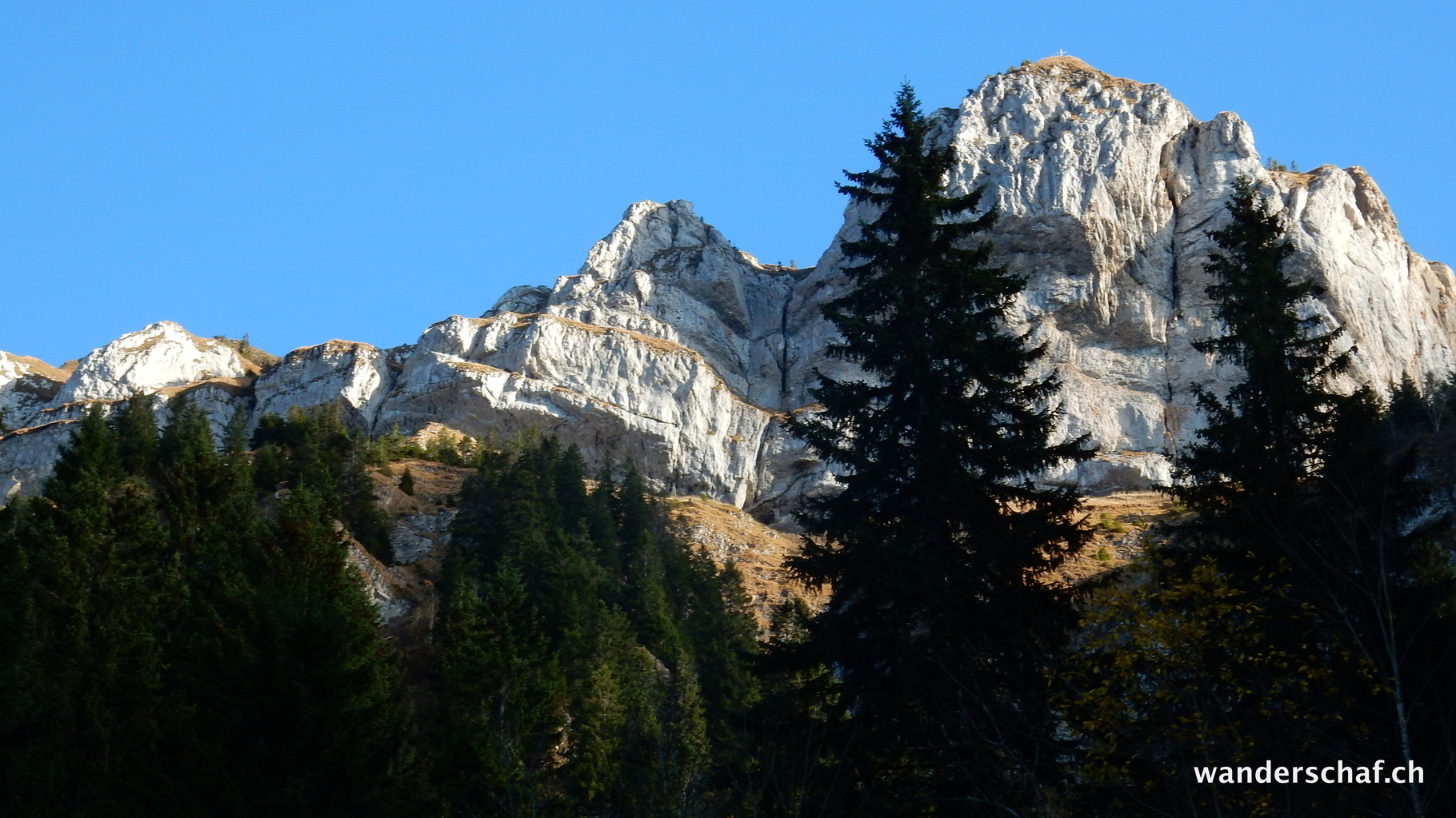 Blick zurück