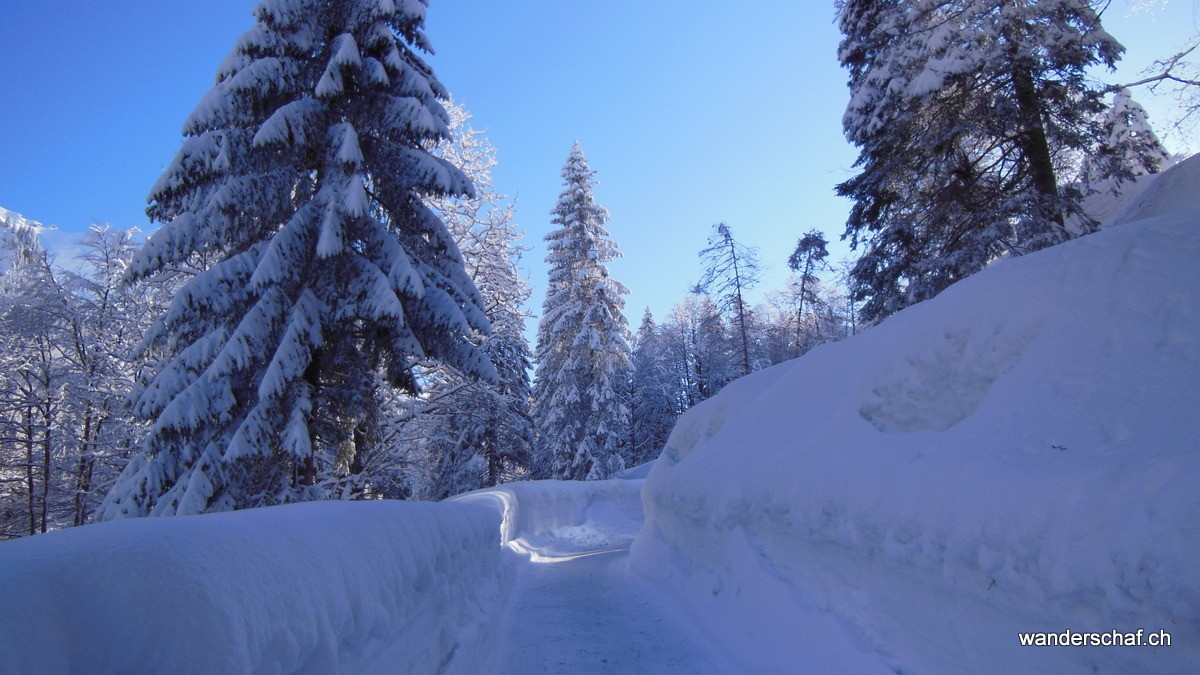 wunderbare Winterstimmung beim Fruttli