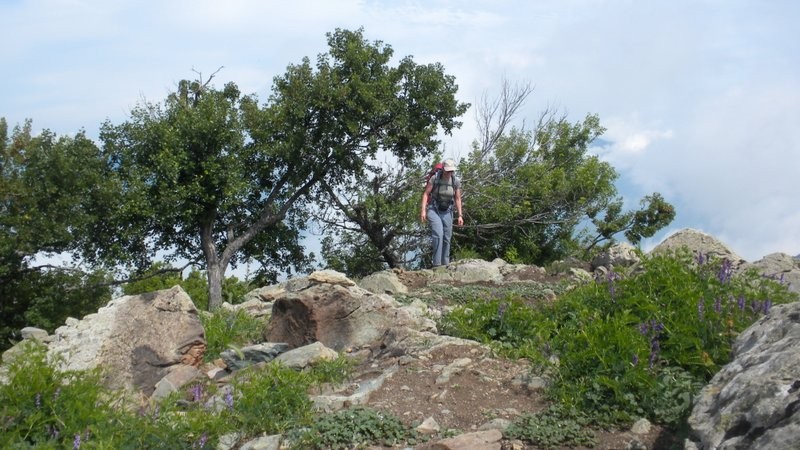 Ankunft auf dem Monte Sant'Angelu