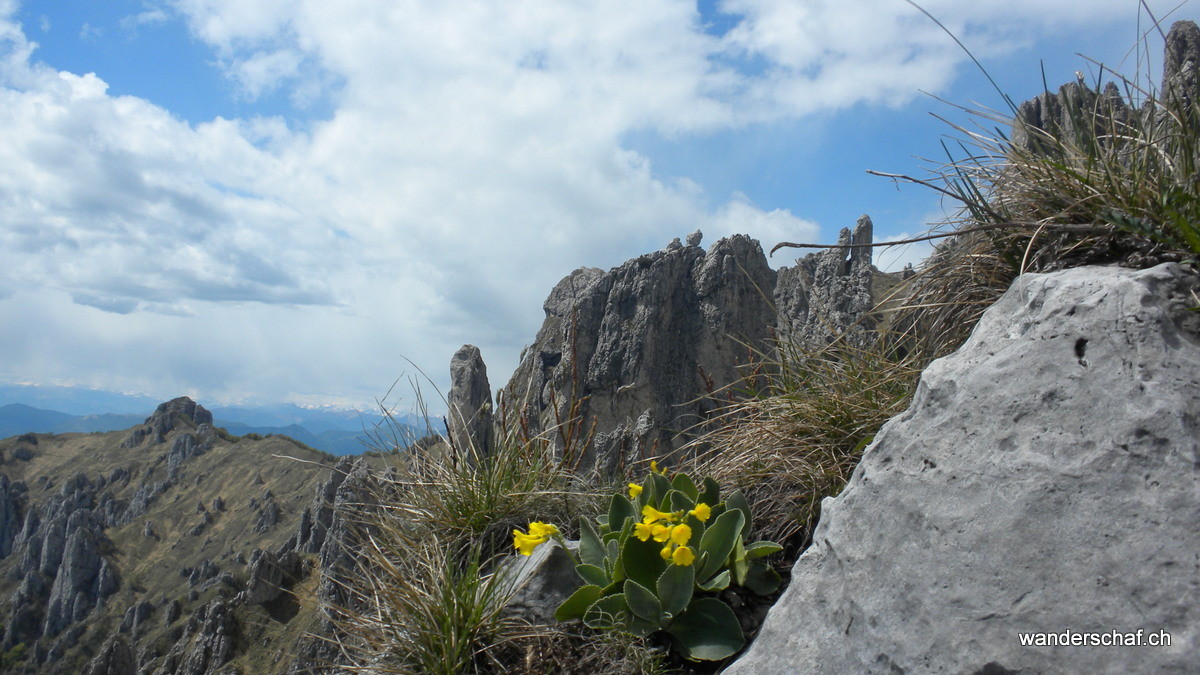 Blick zurück