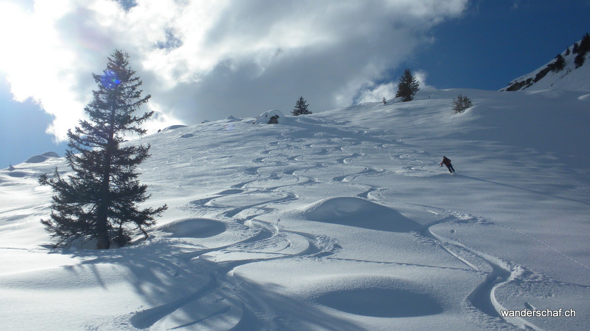 finden wir herrlichen Pulverschnee