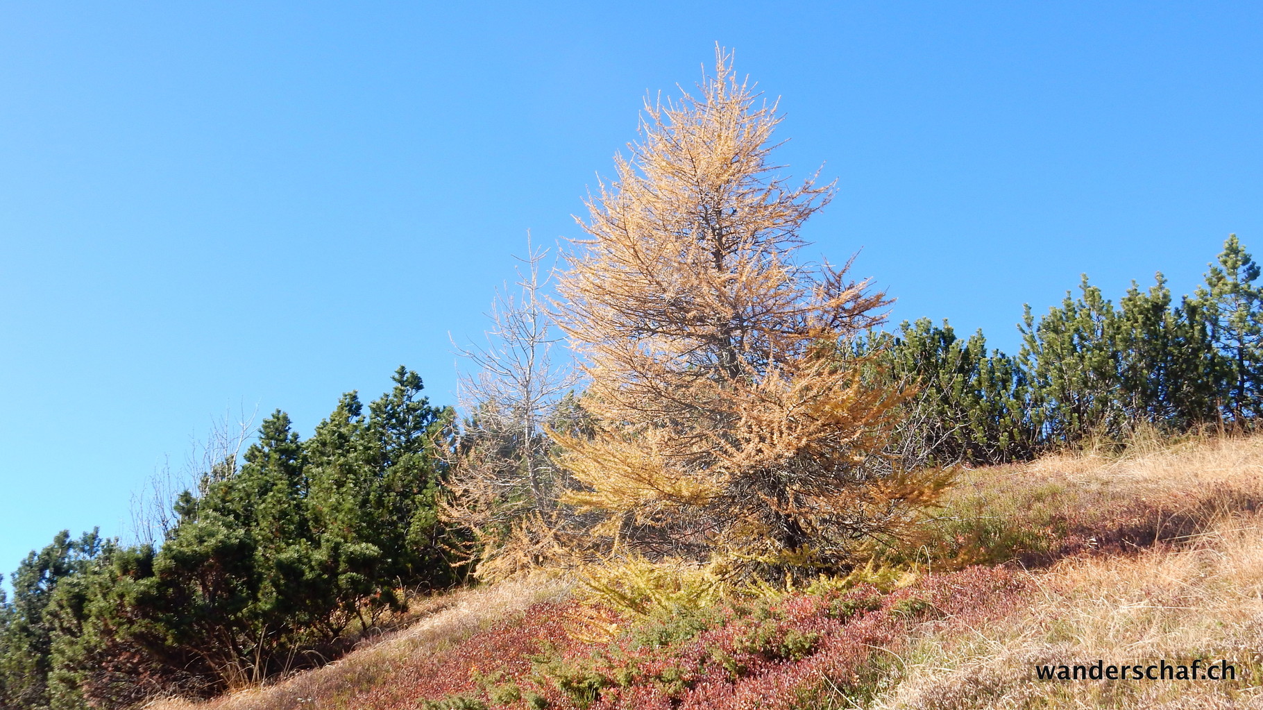 farbenprächtige Herbstkulisse