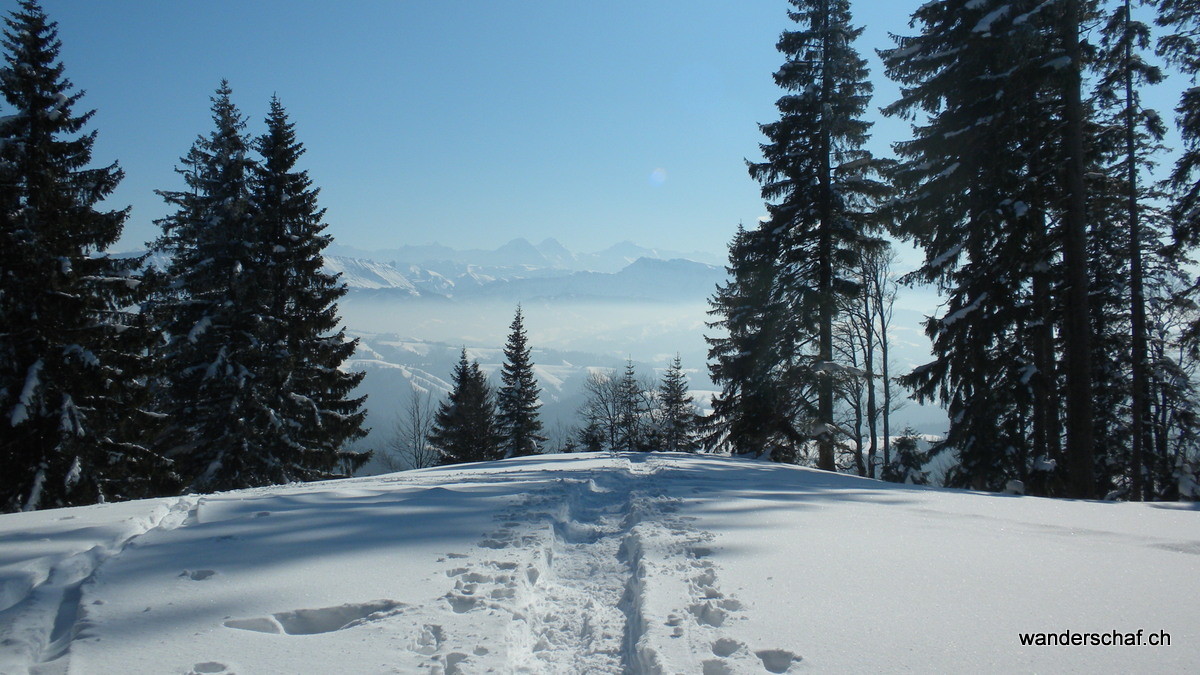 auf dem Schynenzinggen