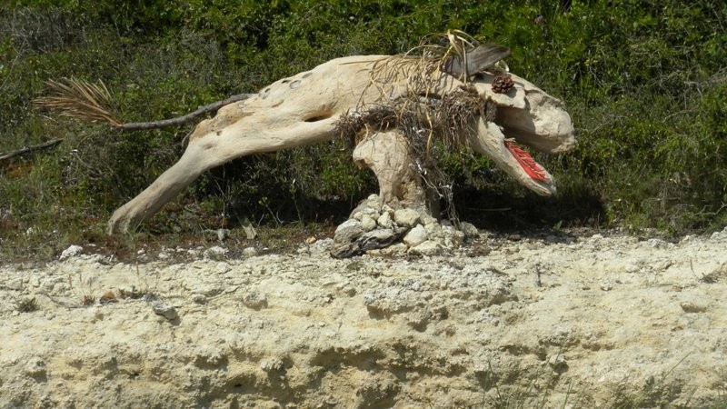 die hölzige Meerwildsau, welche "unseren" Strand bewachte ;o)