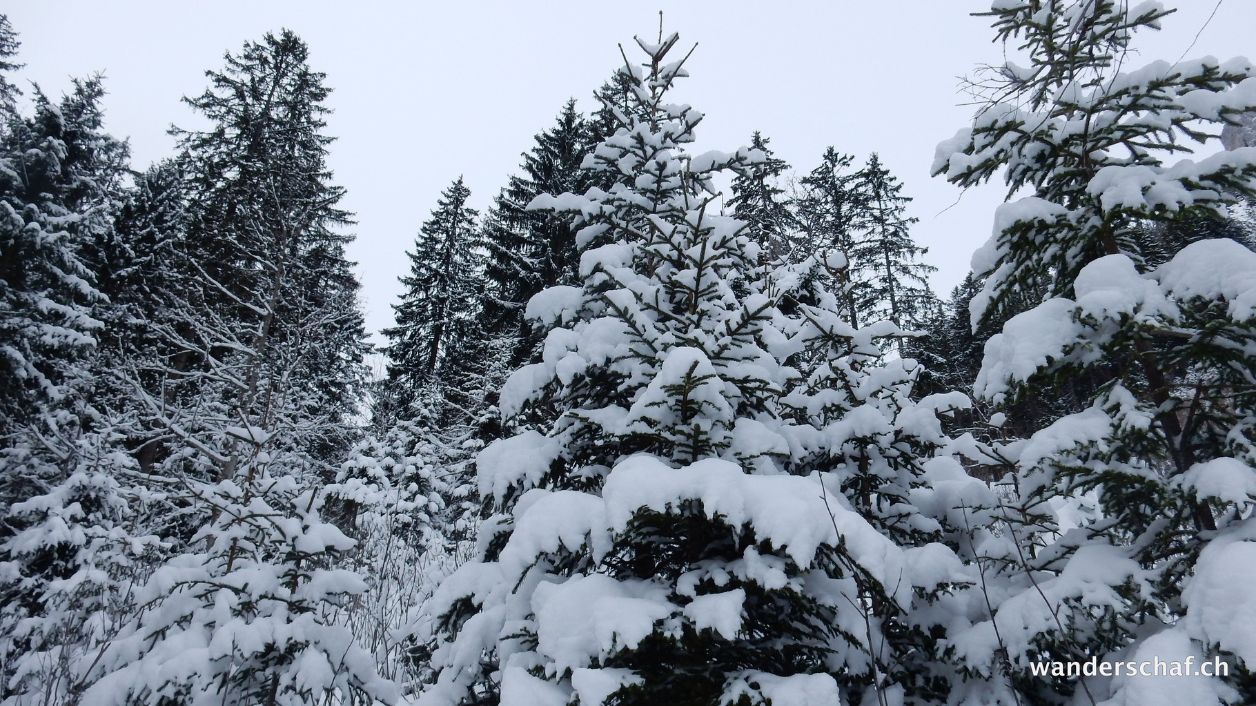 wunderschön verschneit