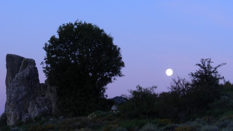 Vollmond in der Morgendämmerung