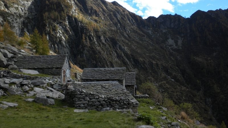 auf der Alpe Cuasca