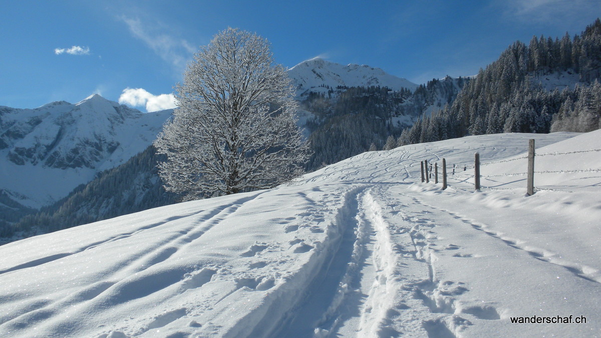 bei der Alp Gurschwald schein schon die Sonne