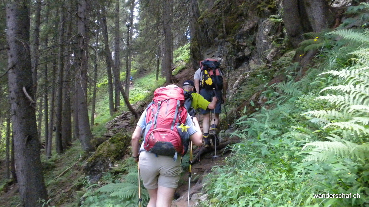 angenehmer Aufstieg druch den schattigen Wald Richtung Sunniggrätlihütte