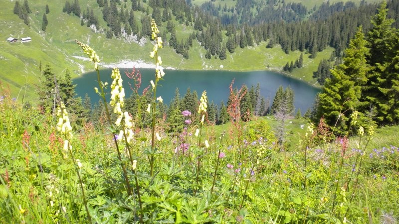 Blick hinunter zum Oberstockenseeli