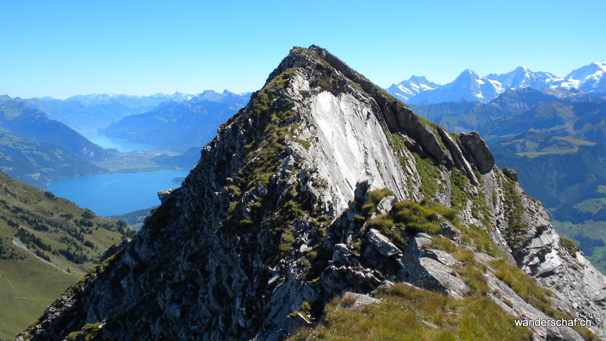 Blick zurück.....da war Konzentration angesagt