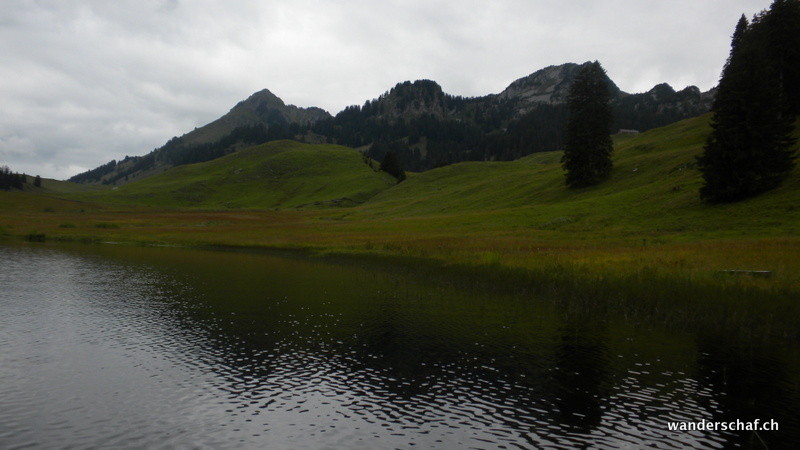 heute ist's angenehmer am See....als am Sonntag