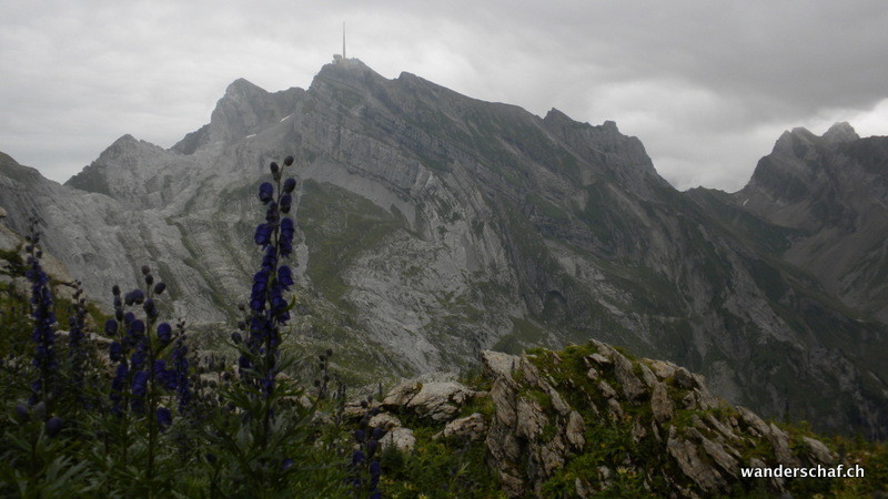 Säntis