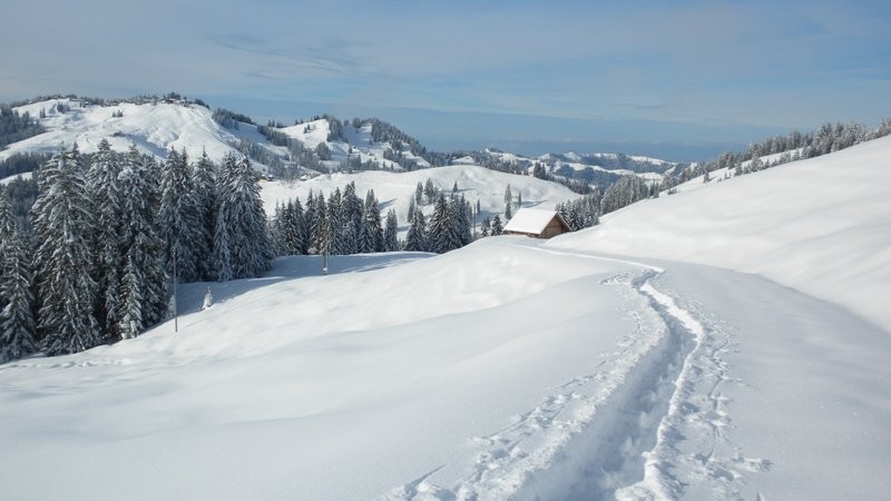 unterhalb der Alp Imbrig