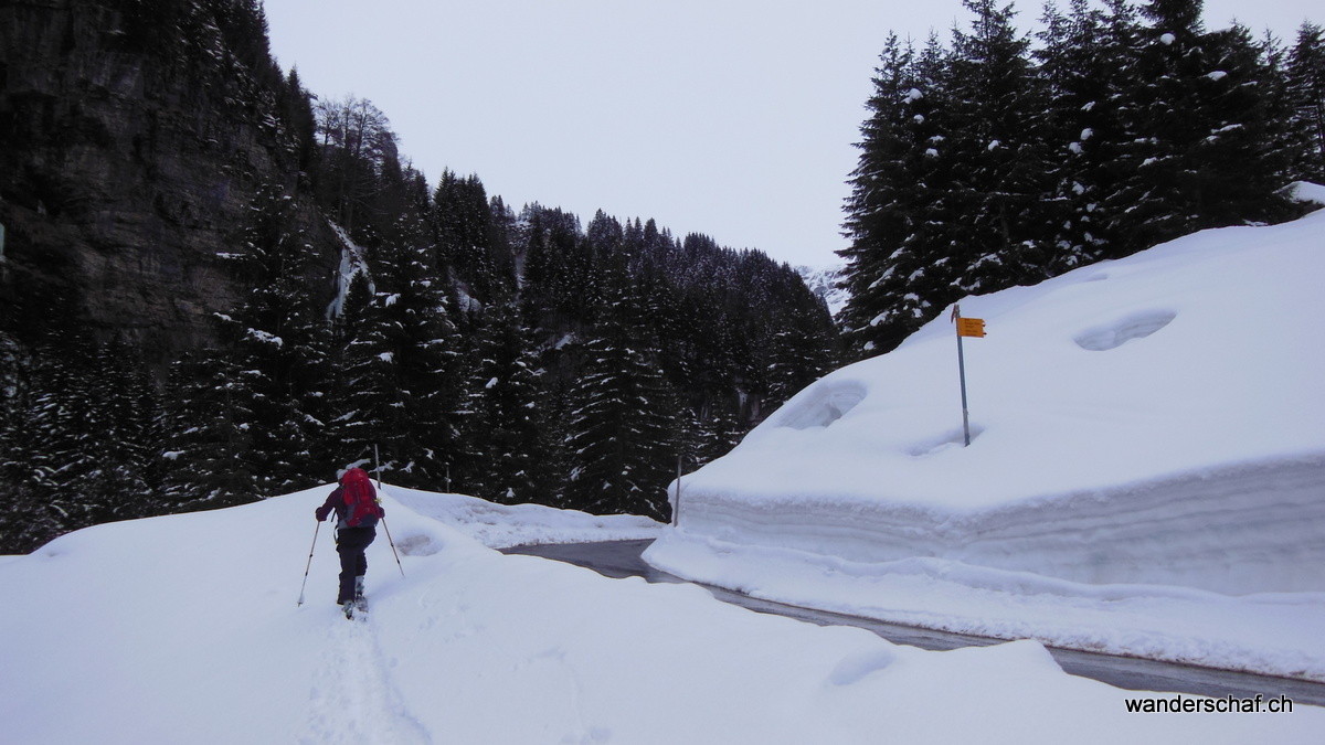 entlang der Strasse spazieren wir mit den Tourenskis nach Sali