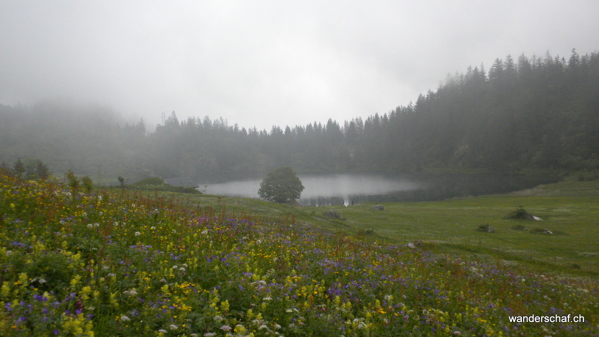 Golzernsee