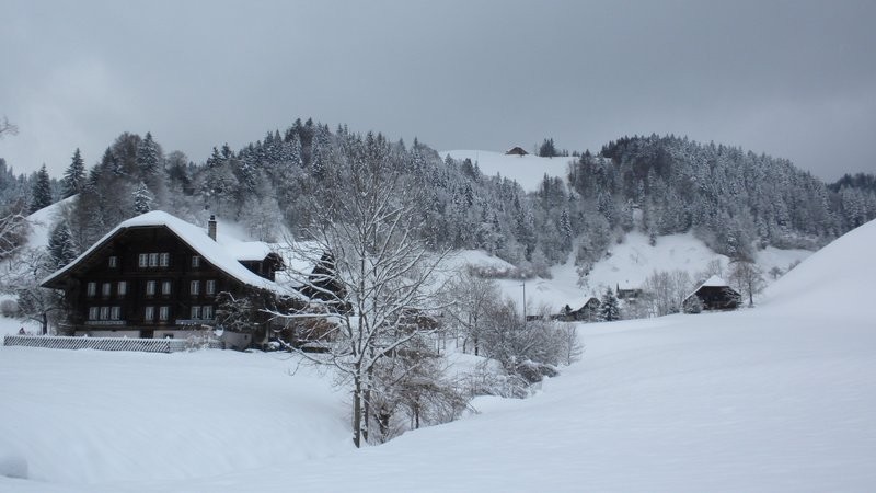 Blick Richtung Aufstieg; Lochguet 