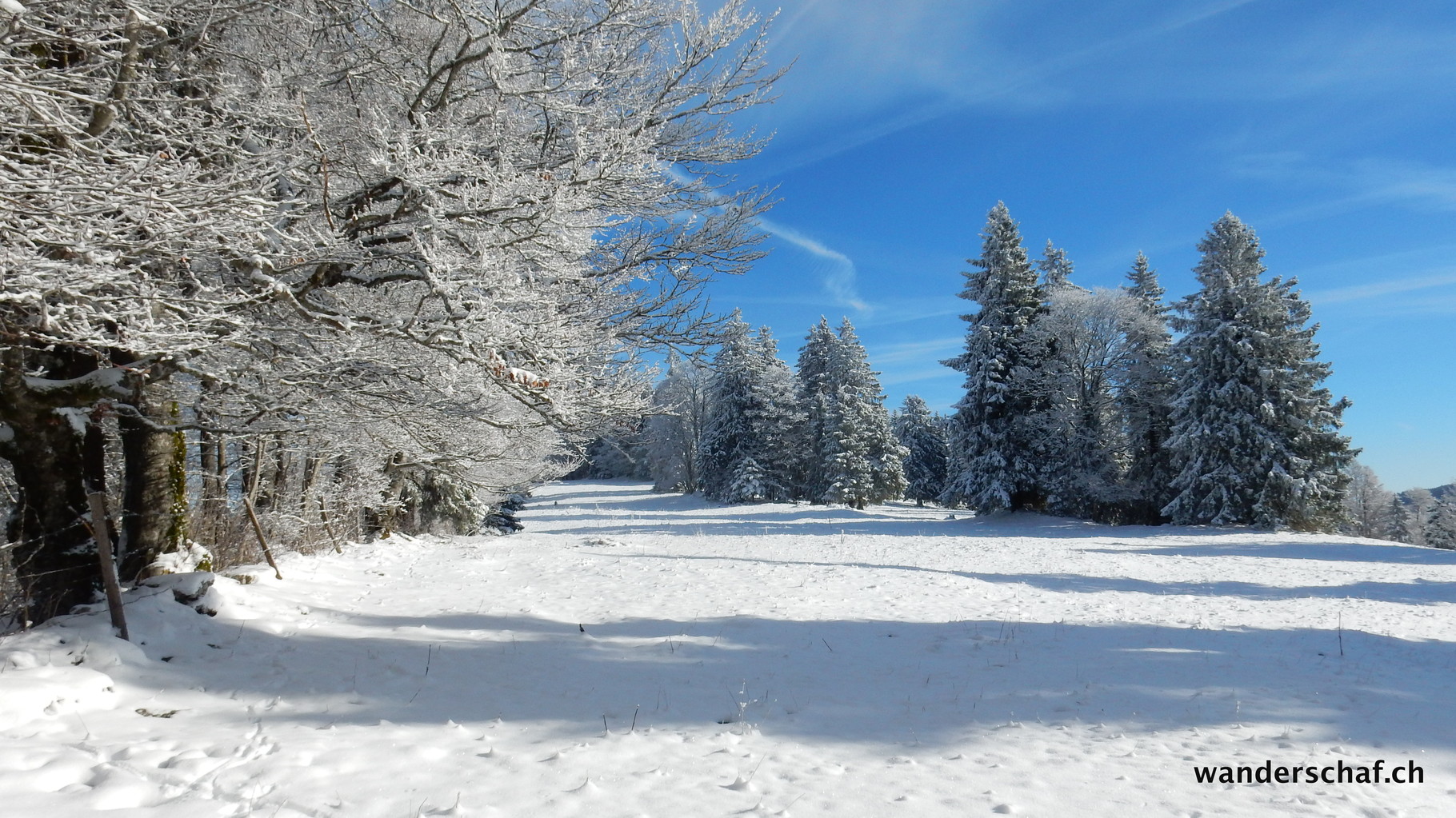 hier hat's weniger Schnee als im Emmental