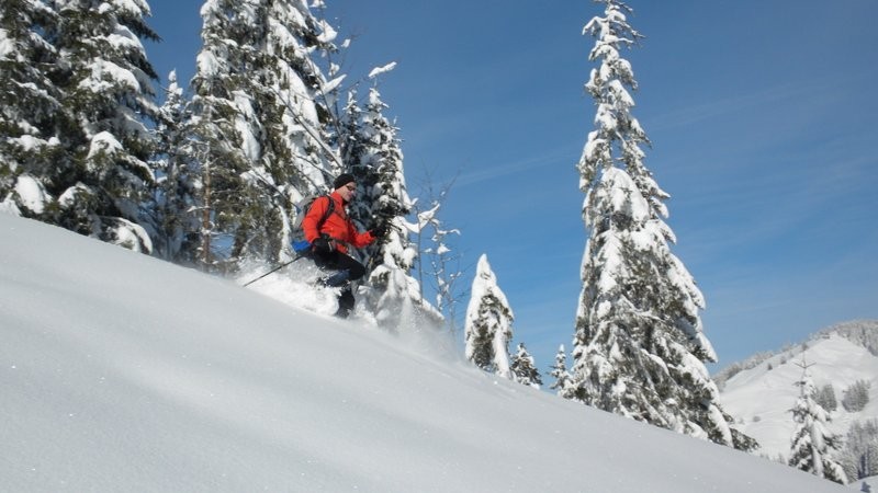 auch mit Schneeschuhen kann man "powdern".....nur ist es viel anstrengender als mit Skiern ;o)