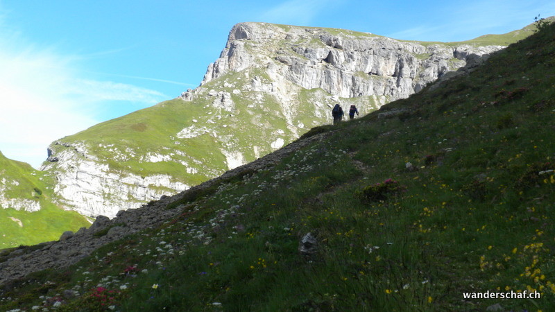 Richtung Rinderstock