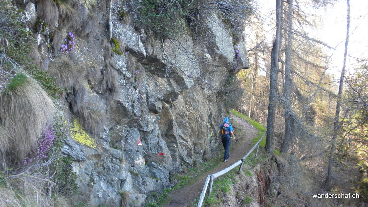 schöner Weg Richtung Alp Arogno