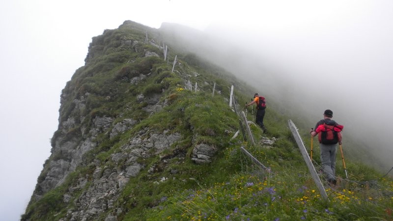 leider nebelt es den Gipfel vom Schopfenspitz ein