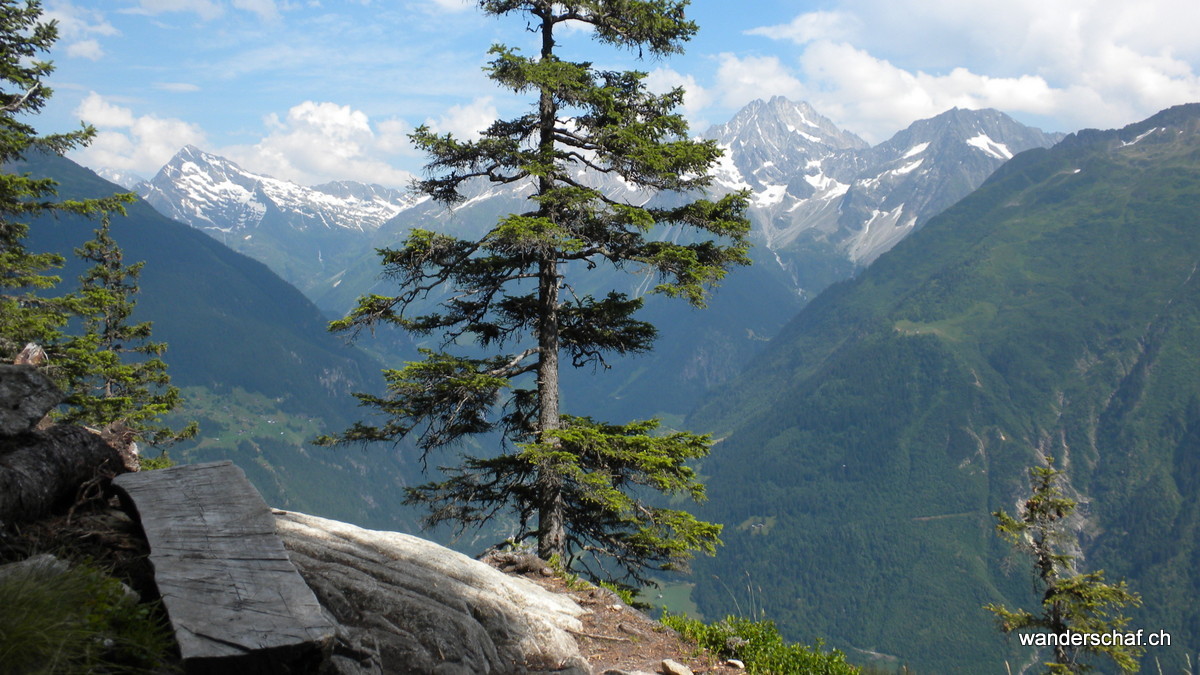 Blick ins Maderanertal