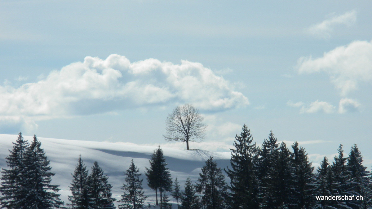 Blick zur Risisegg rüber