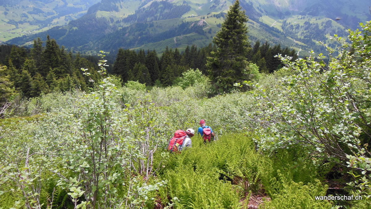 Abstieg Richtung Portenalp