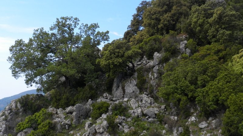 hier suchen wir uns einen Weiterweg zur Pointe de Nevara