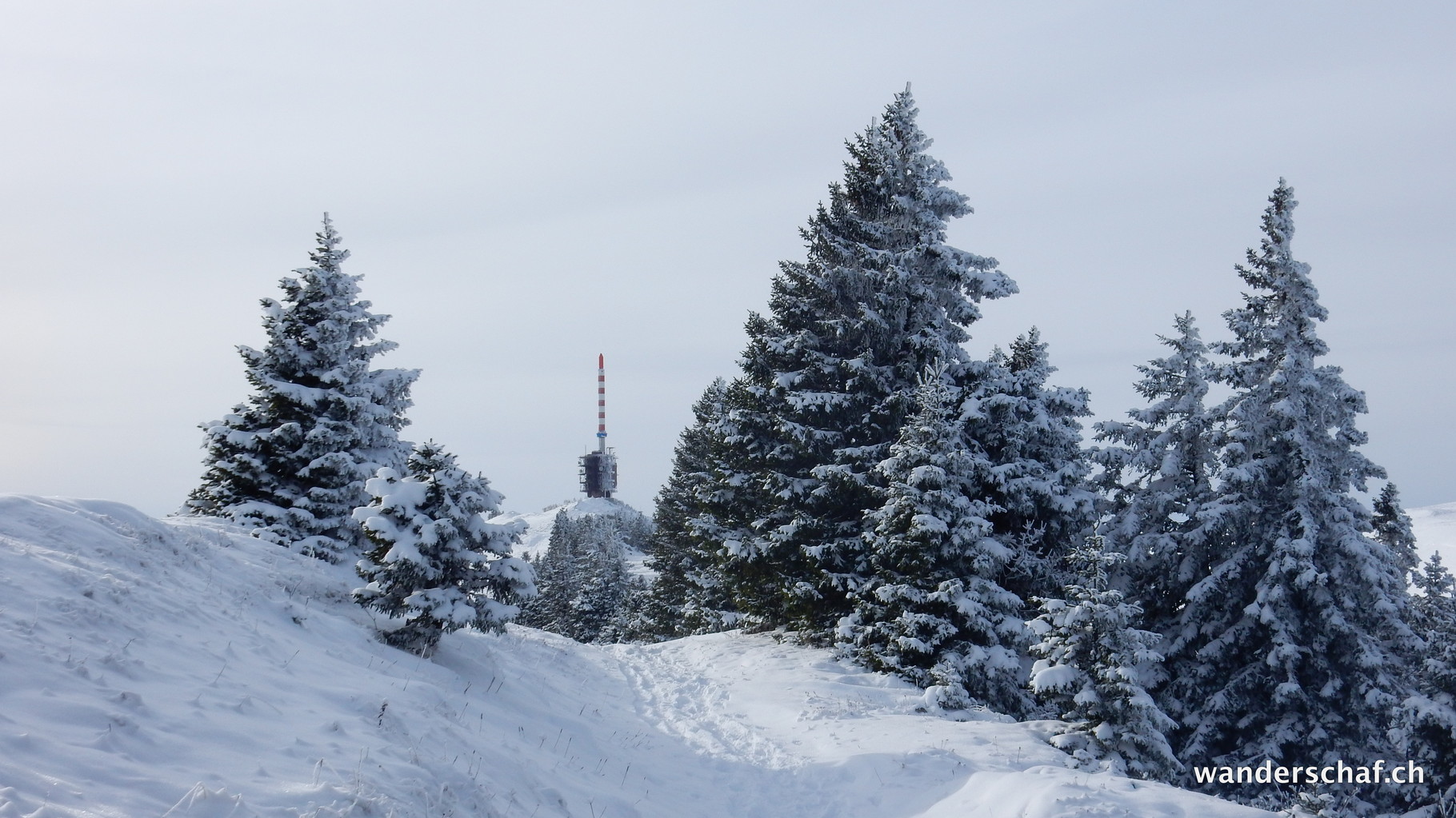 Chasseral in Sicht