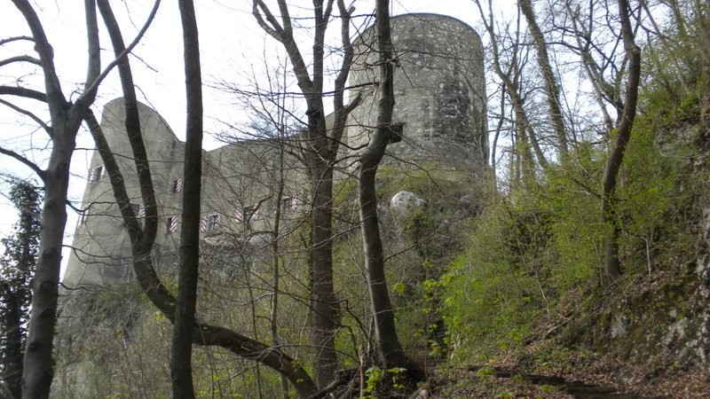 Schloss Alt Falkenstein
