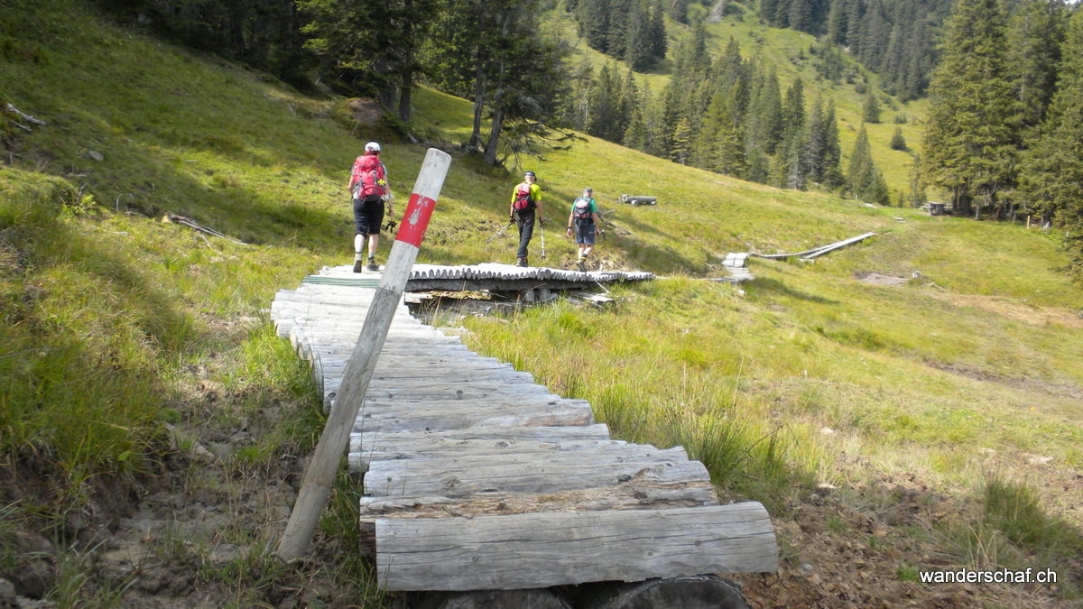 im Moorigen Gebiet Richtung Sachsler Unterwengen