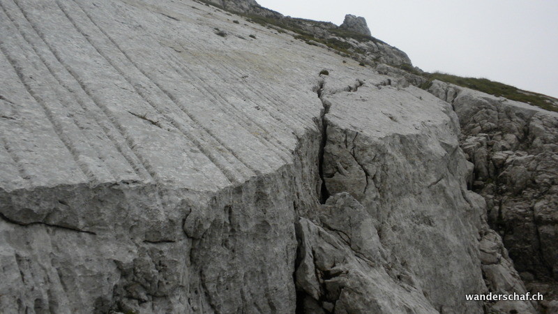 Blick zurück