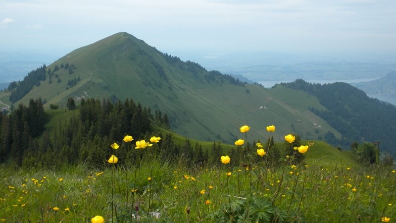 Buochserhorn und der Aufstiegs Grat vom Gross Hornzug