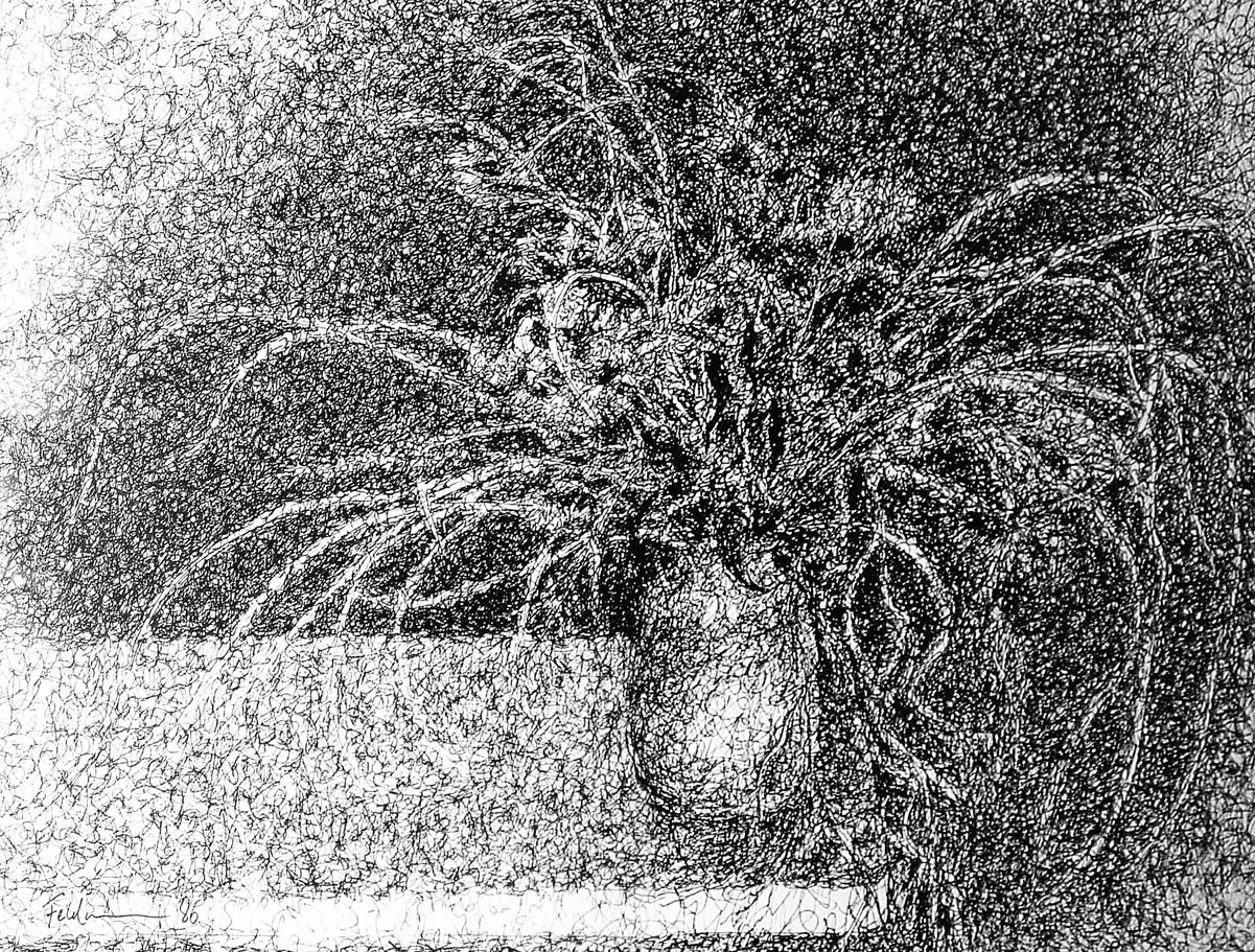 DREIMASTERBLUME, Füllhalterzeichnung, 41x63cm