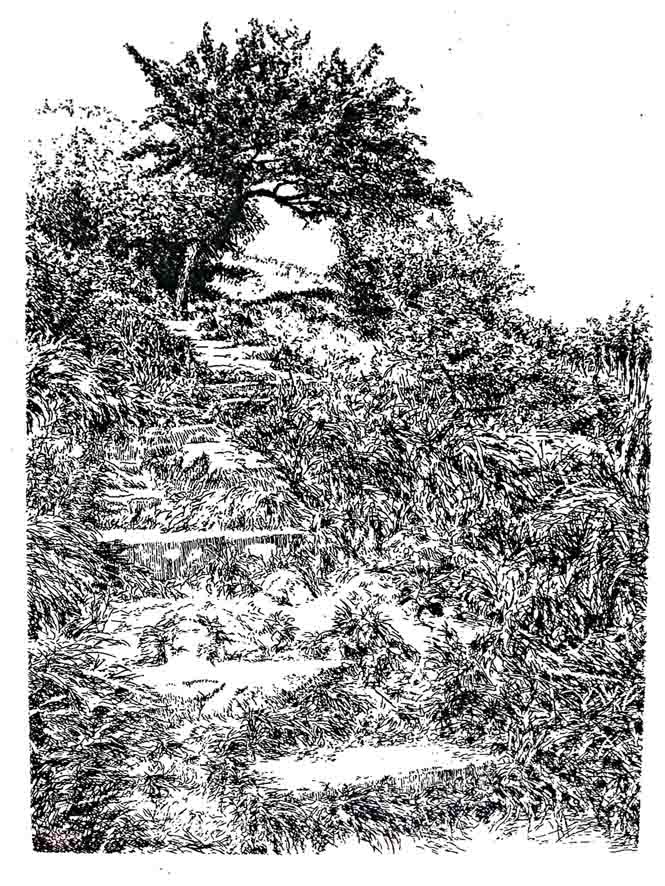 AUFSTIEG BURG HOHENSTEIN, Radierung, 10x15