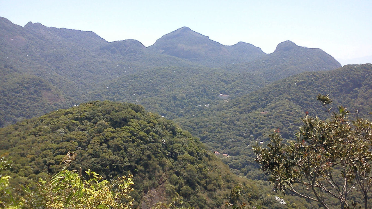 O Pico da Tijuca (o mais alto dessa floresta)