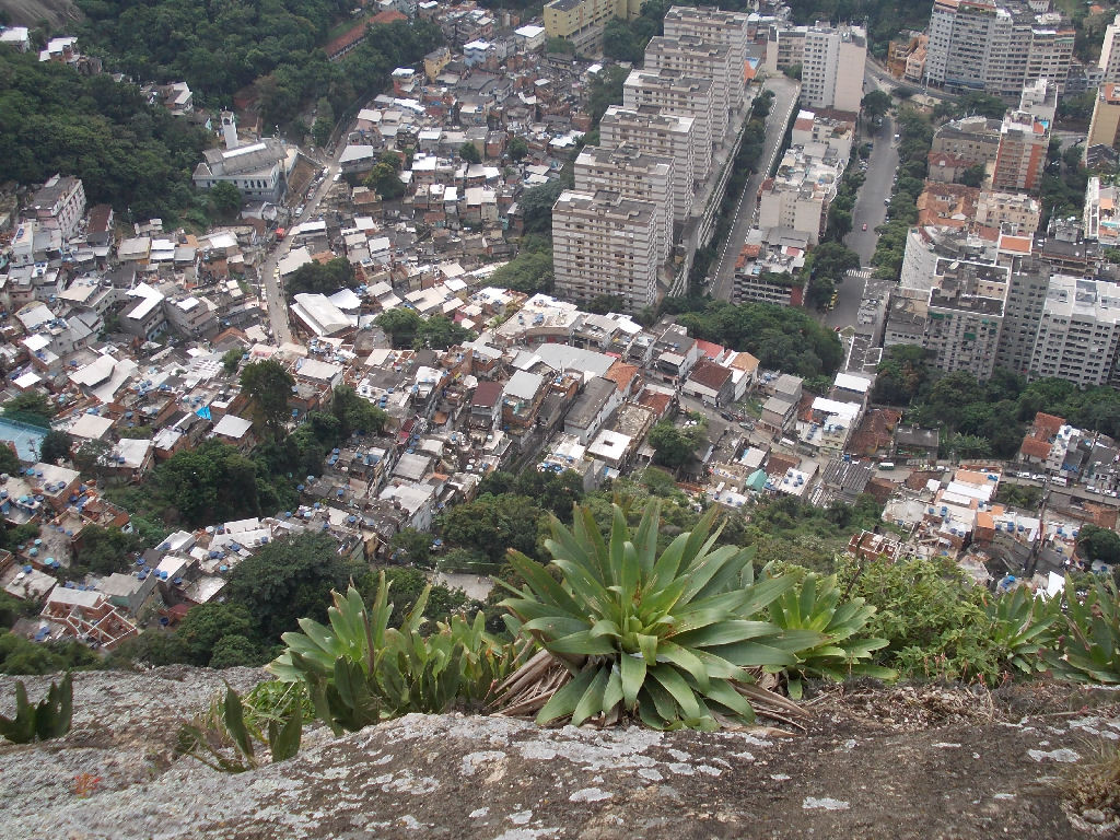 A concentração demográfica da comunidade não assusta as bromélias