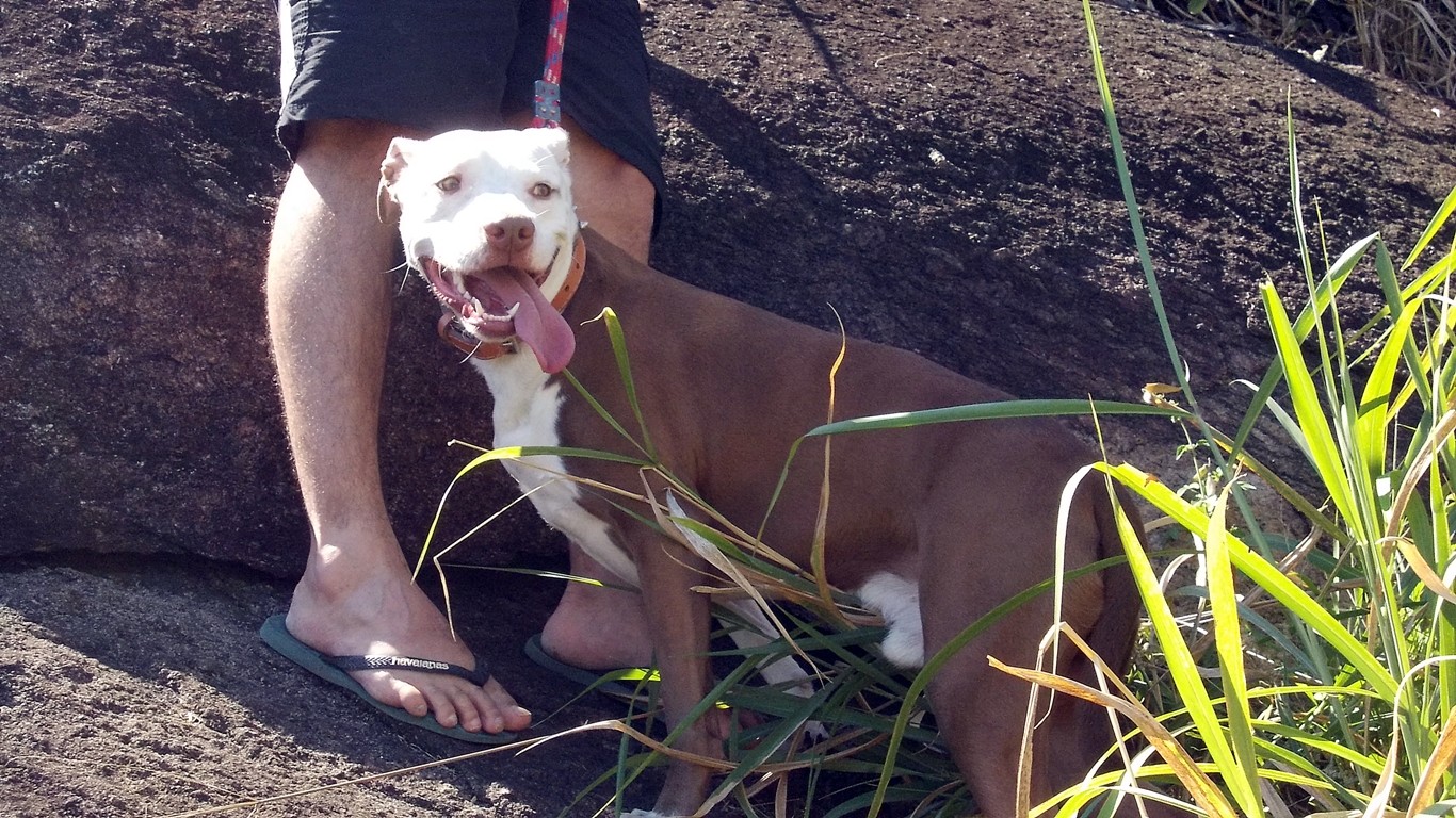 De repente encontro um morador da comunidade, que admirava a paisagem com seu "cãozinho" ...