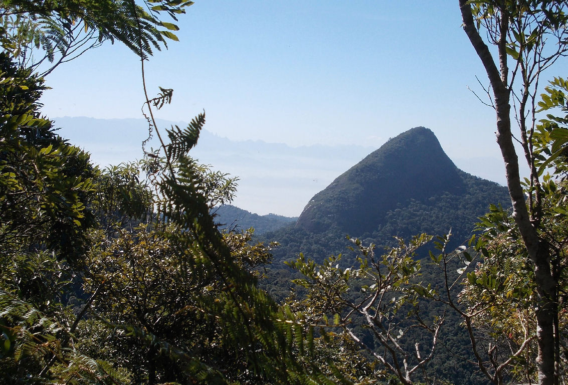 Pico da Tijuca