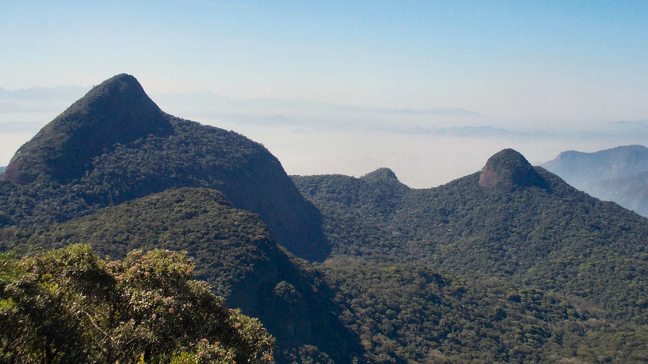 Pico da Tijuca e Pedra do Conde