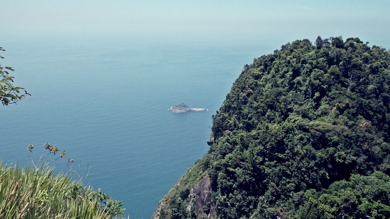 Densa vegetação no Pico dos Quatro