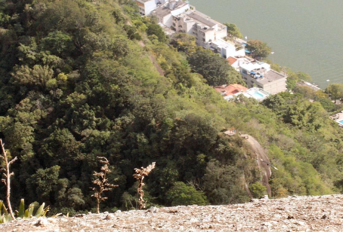 Mirante final da trilha do Morro Sacopã (Parque da Catacumba)