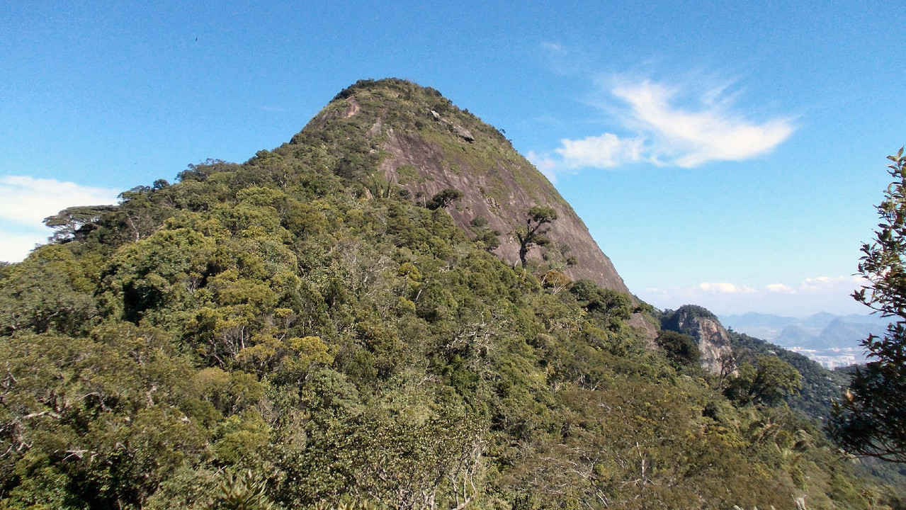 O Pico da Tijuca visto do Tijuca Mirim