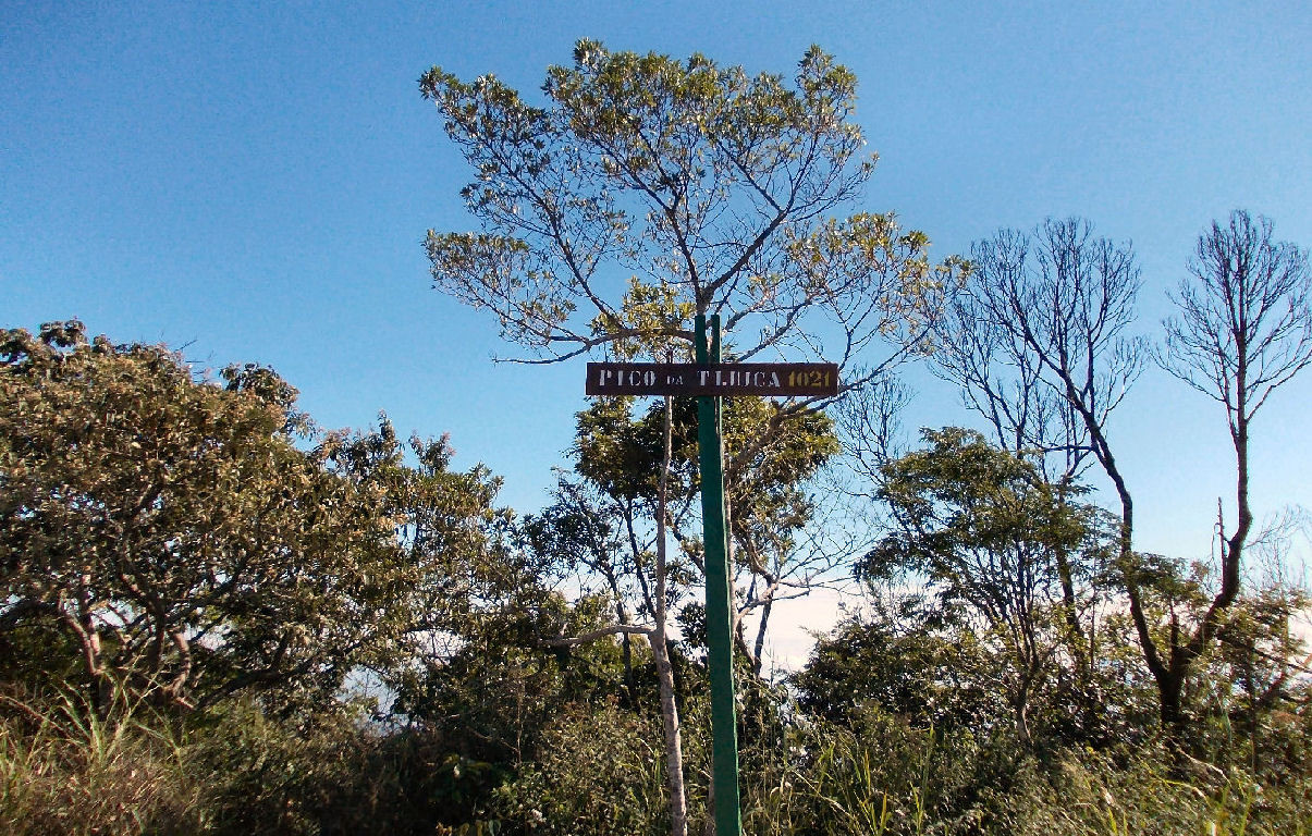Ponto culminante da Floresta da Tijuca