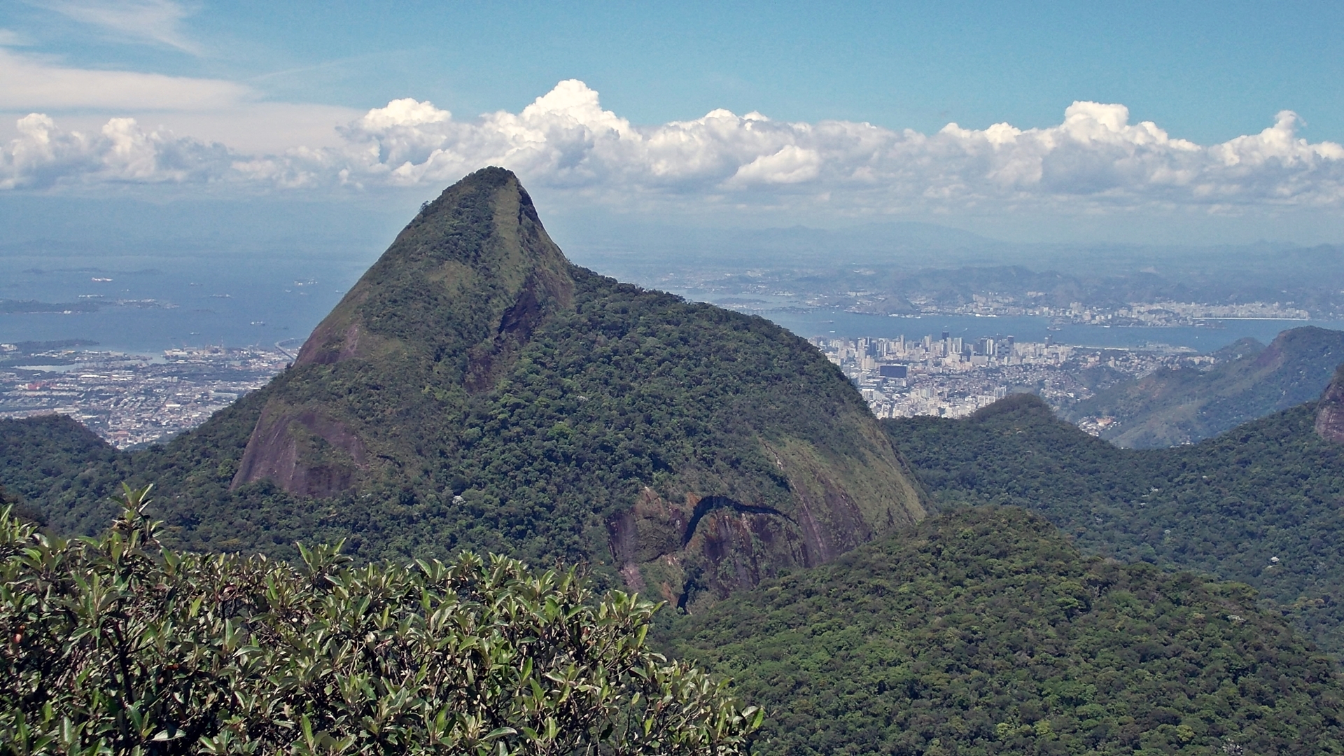 o visual da floresta da Tijuca.