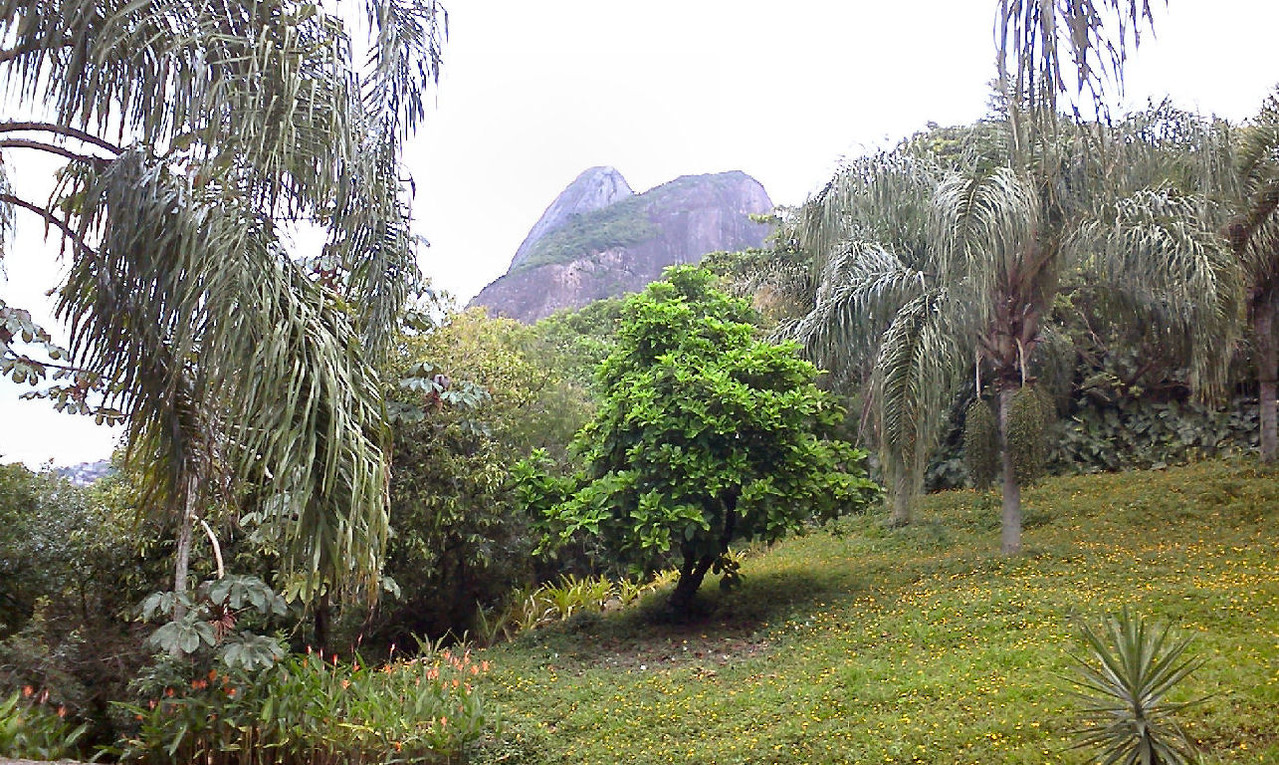 O parque oferece belos recantos