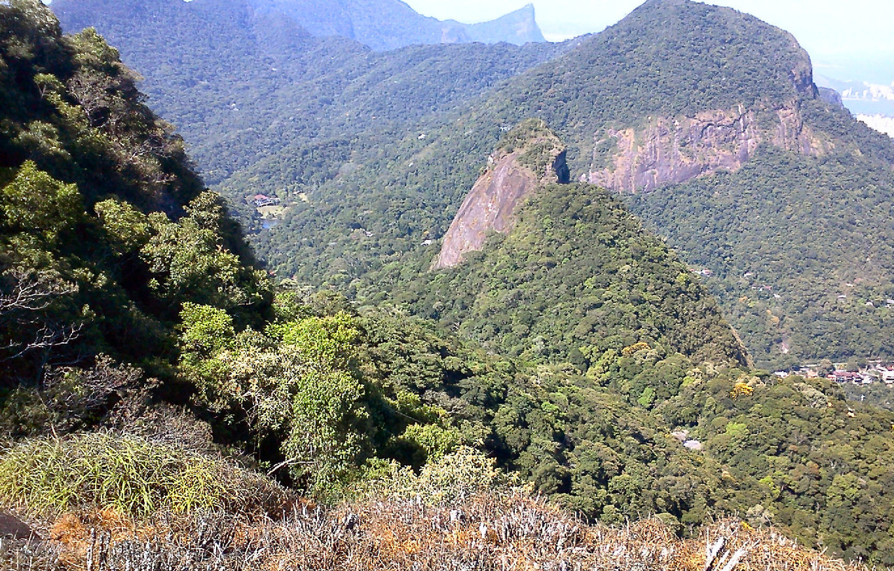 Agulhinha da Gávea
