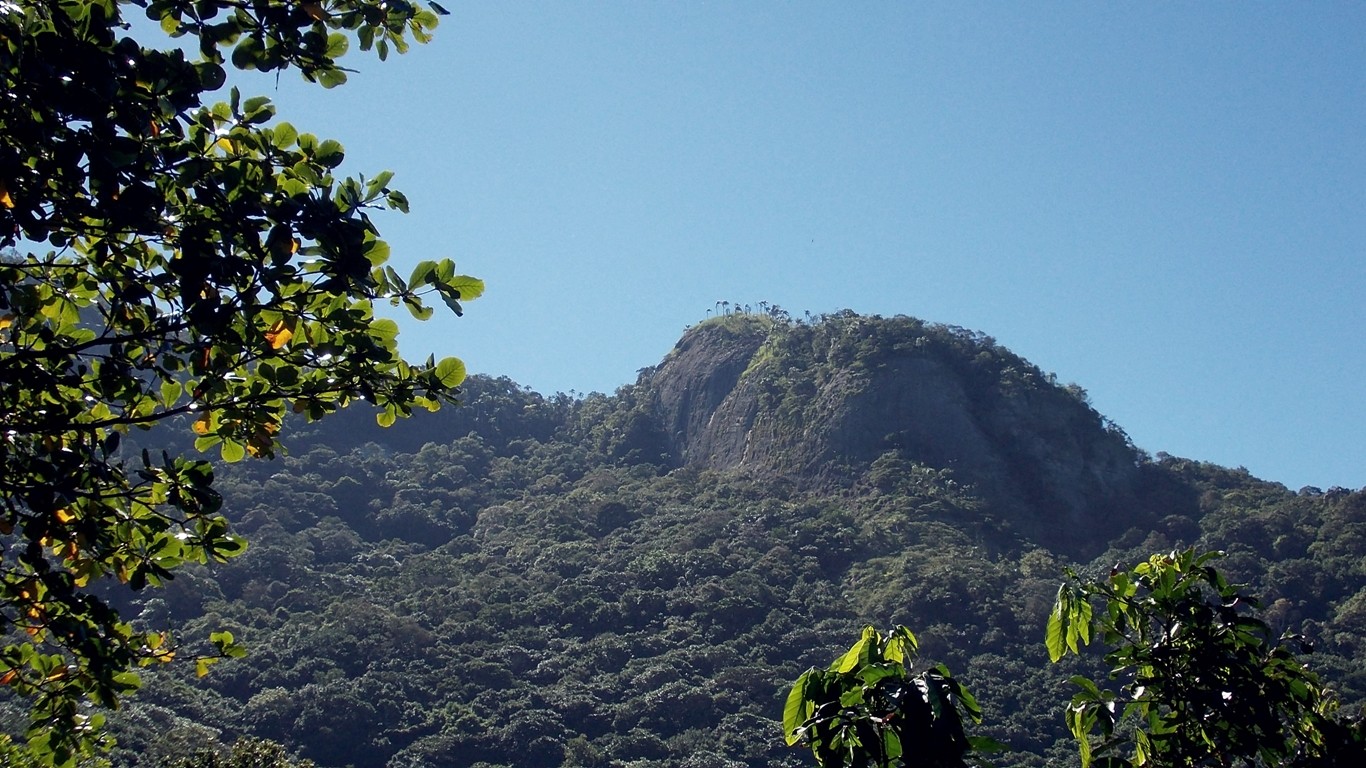 Infelizmente esta trilha não leva ao cume do Caeté, o que eu ainda não descobri.